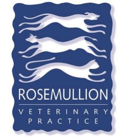 Rosemullion Veterinary Practice – Penryn