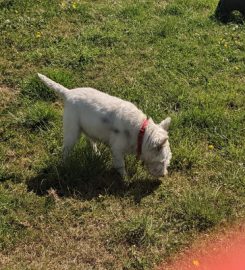 Westwinds Canine Centre