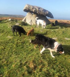 Far West Cornwall Pet Carer