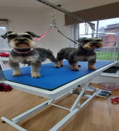 BOBBY & BARNABY'S DOG GROOMING SALON