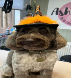 Ashbourne Dog Grooming Salon