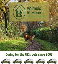 Animals At Home (National Forest) Ltd