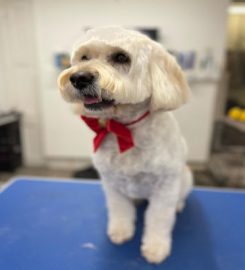 Mucky Mutts Dog Grooming