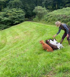 K9 Dog Training