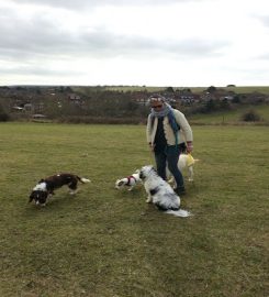 Dog Walker Lewes