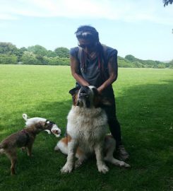 Dog Walker Lewes