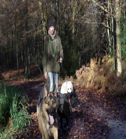 Sussex Dog Walker