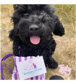 Burnham-On-Pets | Dog Adventure Hikes, Dog Training, Puppy Classes & Pet Services | Covering the Dengie area  21 photos Burnham-On-Pets | Dog Adventure Hikes, Dog Training, Puppy Classes & Pet Services | Covering the Dengie area