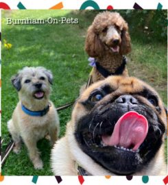 Burnham-On-Pets | Dog Adventure Hikes, Dog Training, Puppy Classes & Pet Services | Covering the Dengie area  21 photos Burnham-On-Pets | Dog Adventure Hikes, Dog Training, Puppy Classes & Pet Services | Covering the Dengie area