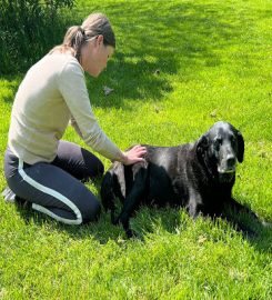 Trek & Train K9 Osteopath Saffron Walden