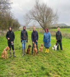 Happy Hounds @ Winchcombe