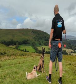 South Wales Dog Training