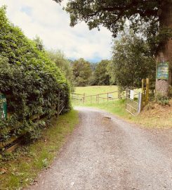 Frochas Hill Kennels & Cattery