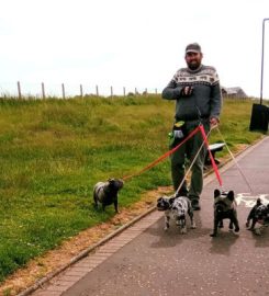 Prestwick Paw Patrol Dog Walkers