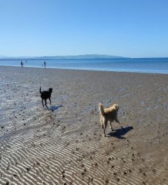 Prestwick Paw Patrol Dog Walkers