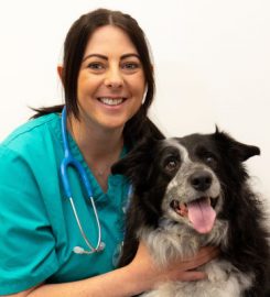 Pet Care Scheme at Donald S McGregor & Partners