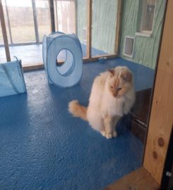 Long Acres Kennels, Cattery and Small Animal Boarding