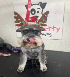 Sittin' Pretty Dog Grooming