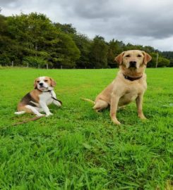 Inveraray Pet Care Services