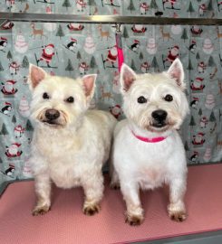 Ardnadam Farm Kennels