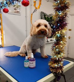 Islas Styles Dog Grooming