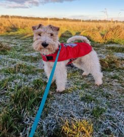 Paws for Adventure Peterhead