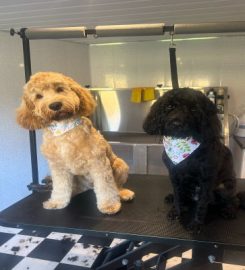 Doodle Lu's Dog grooming