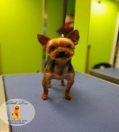 Little Love Dog Grooming