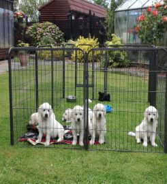 Bushbane Kennels Cattery and Grooming