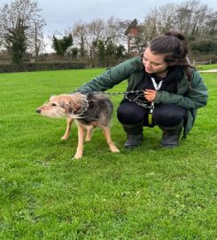 Ballydugan Kennels