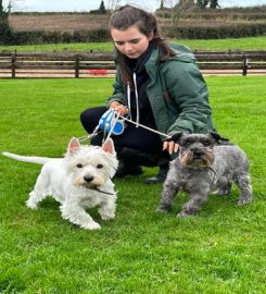 Ballydugan Kennels