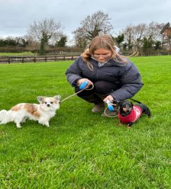 Ballydugan Kennels