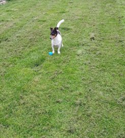 Give Me Your Paw Dog Kennels