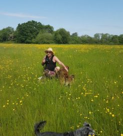 Malvern Walkies