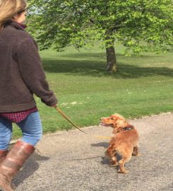 Windsor Great Bark – Dog Walking & Boarding