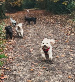 Bertie and friends