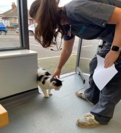 Pet Practice Veterinary Surgery