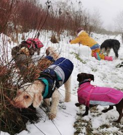 Neighbourhood Pet Care