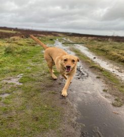 Treks & Treats