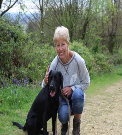 Dog Walker and Pet Services Horsham