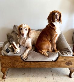 The Dog Bed Company