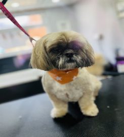 Pooches Dog Grooming