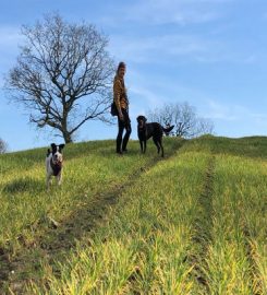 Scholar Dogs – Dog Walking & Home Boarding