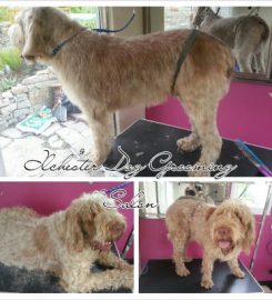 Ilchester Dog Grooming Salon