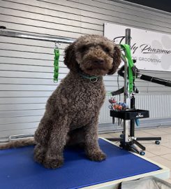 Truly Pawsome Dog Grooming