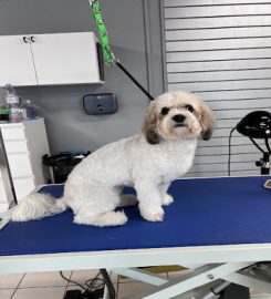 Truly Pawsome Dog Grooming