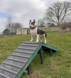 Brackenhill Boarding Kennels & Cattery