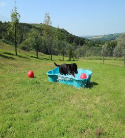 Brackenhill Boarding Kennels & Cattery