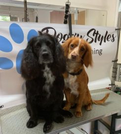 Doggy Styles Dog Grooming