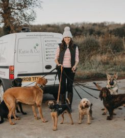 Katie & Co Dog Walking & Pet Services